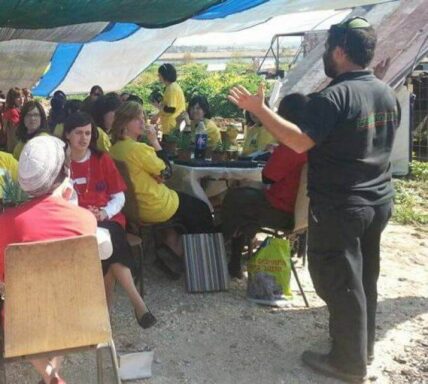 סדנא להשרשה