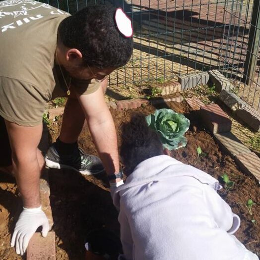 המלצה מאביחי אלביליה‏