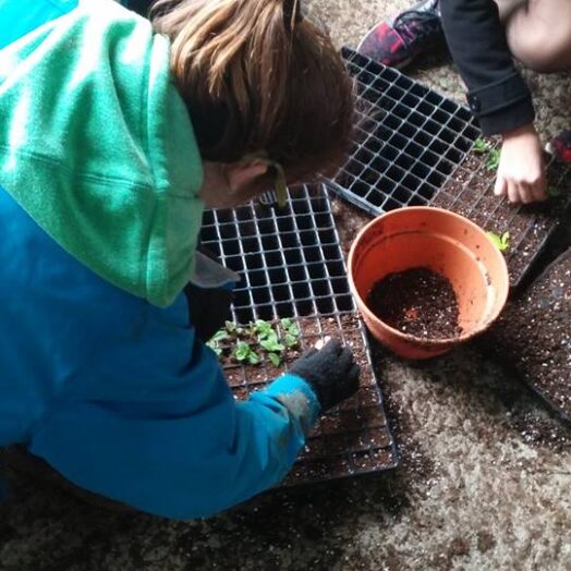 המלצה מחגית מוריה-גיבור