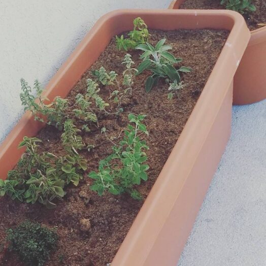 המלצה ממשה אבוטבול