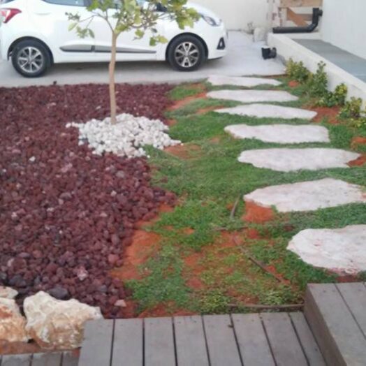 המלצה מאשר הנדל