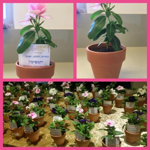 המלצה מליאת אליהו