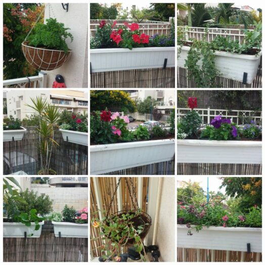 המלצה ממאיה רובין-הילל