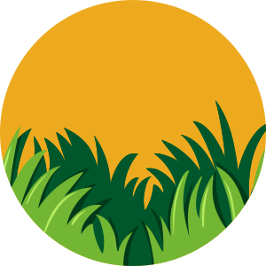 דשא סינטטי וחיפויי קרקע