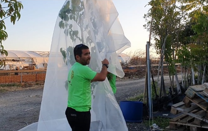 WhatsApp Image 2020-05-10 at 01.45.24