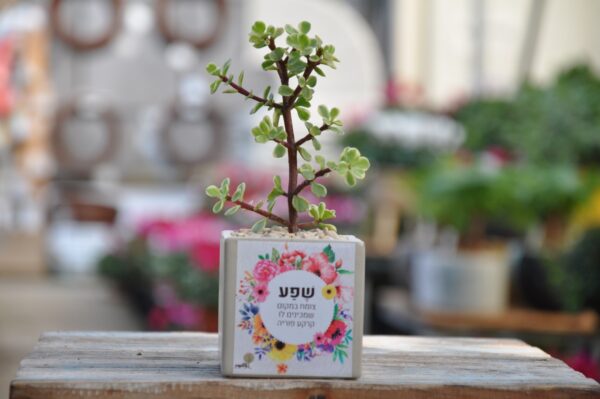 שפע צומח במקום שמכינים לו קרקע פוריה. מתנות ממותגות במשתלת מרמלשטיין