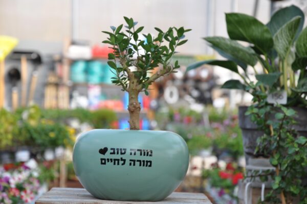 מתנות לצוות חינוכי- משתלת מרמלשטיין