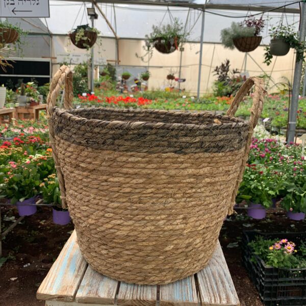 סל קש | סלי קש - משתלת מרמלשטיין