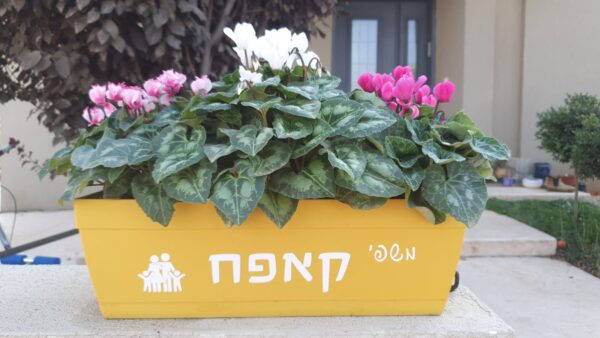 אדנית ממותגת שם משפחה. אדנית לכניסה לבית. מיתוג אישי- משתלת מרמלשטיין