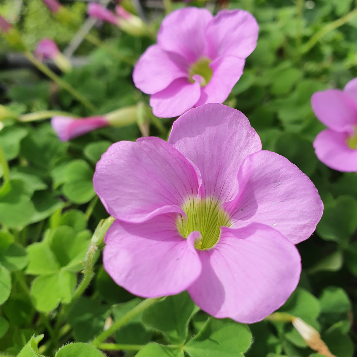 WhatsApp Image 2021-10-24 at 13.22.08 (1)