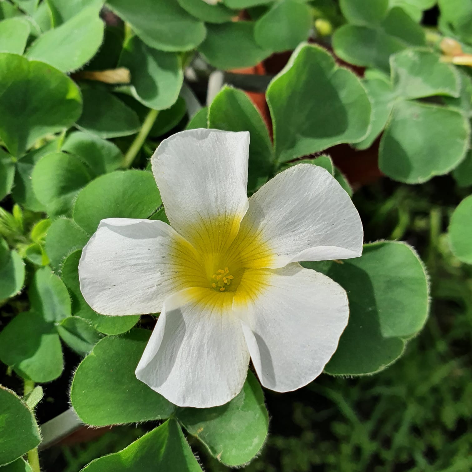 WhatsApp Image 2021-10-24 at 13.22.08 (2)