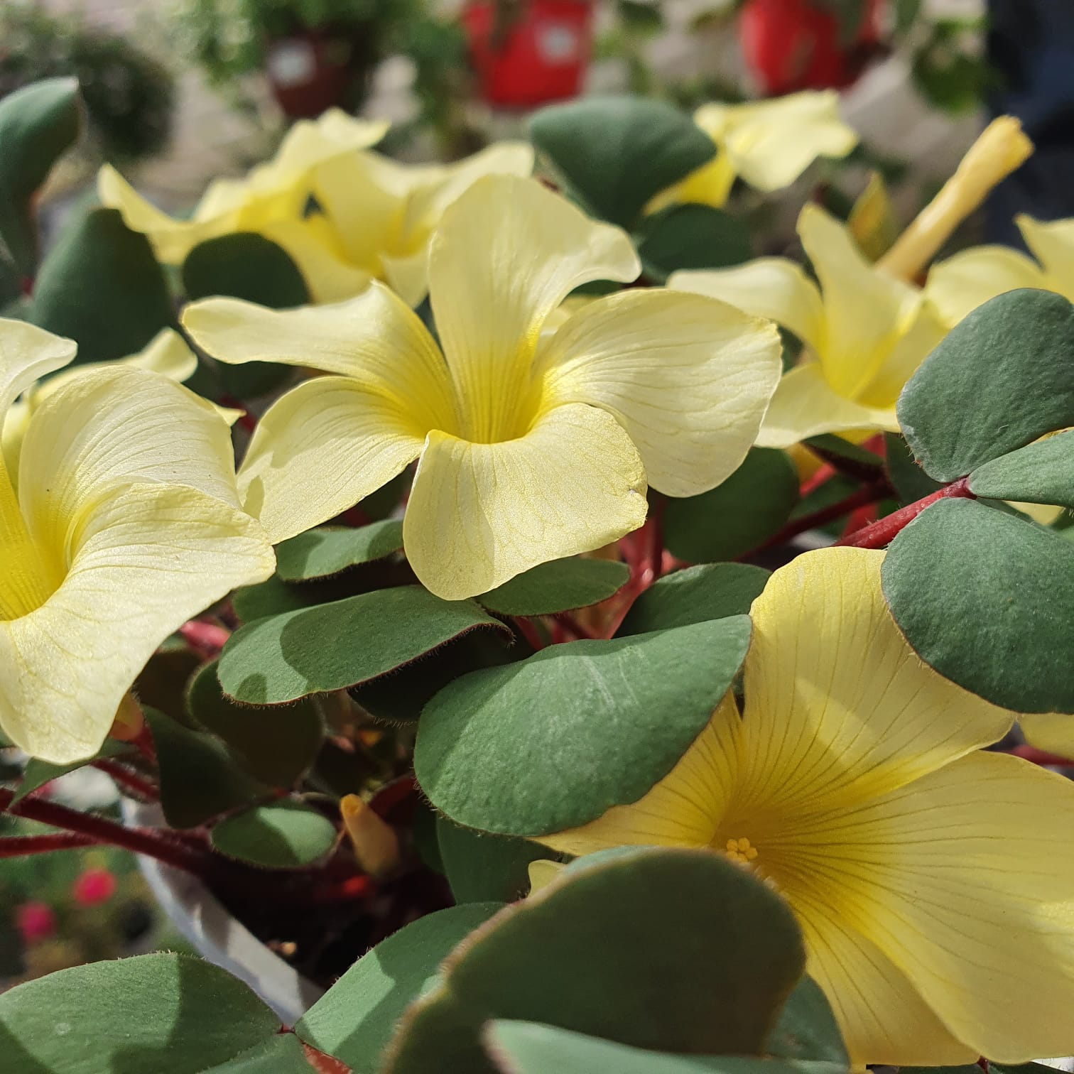 WhatsApp Image 2021-10-24 at 13.22.08