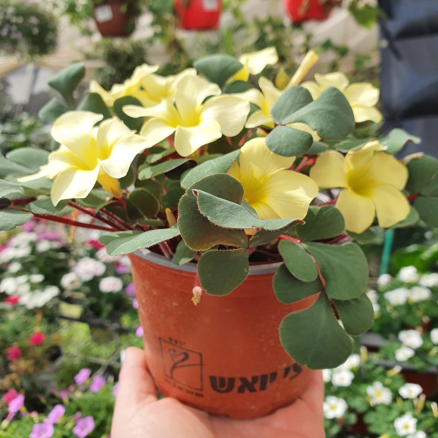 WhatsApp Image 2021-10-24 at 13.22.09 (1)