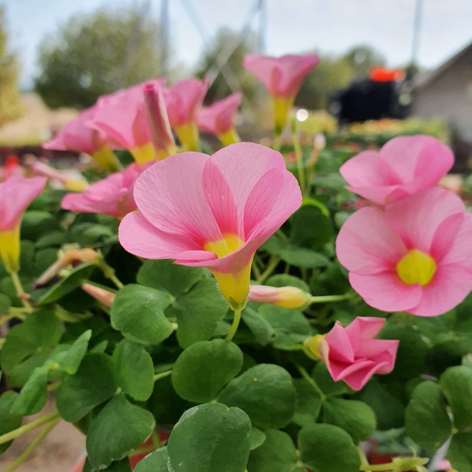 WhatsApp Image 2021-10-24 at 13.22.09 (2)