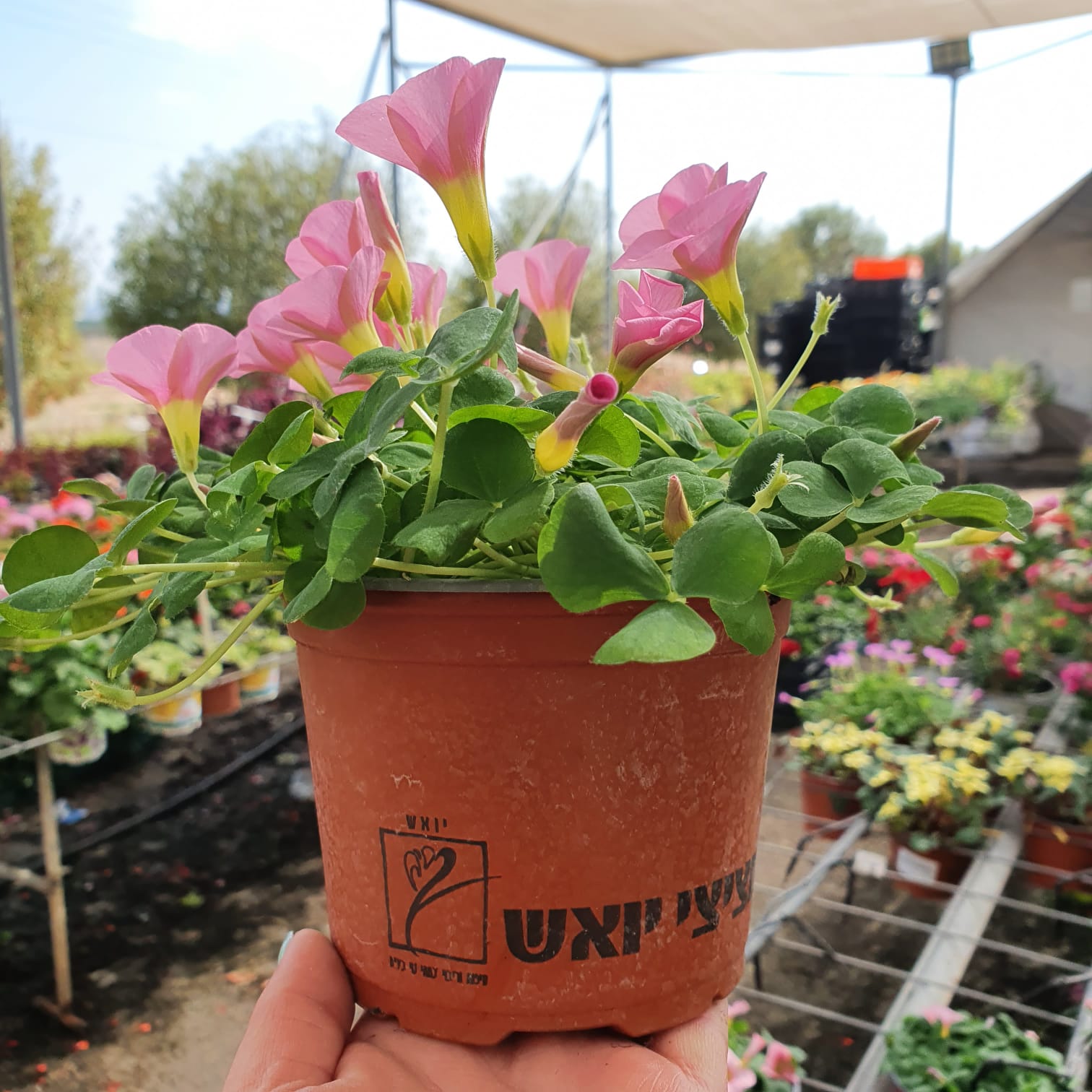 WhatsApp Image 2021-10-24 at 13.22.09 (3)