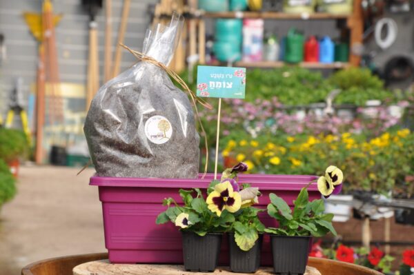 ערכת פורחת לט"ו בשבט. ערכה מיוחדת. משתלה בשפלה