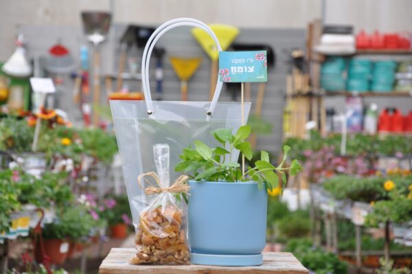 מתנה לט"ו בשבט. משתלה בגדרה