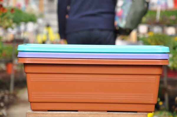 אדנית 40 ס"מ. משתלה ברחובות