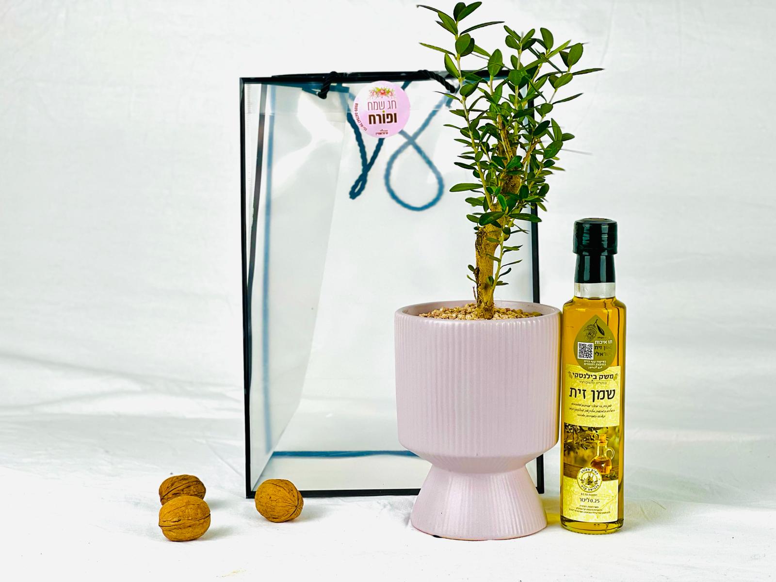 מתנה נס נוכחית