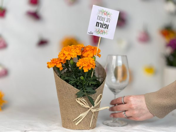 טגטס קאוור פפיון גביע יין מיתוג חג שמח ופורח