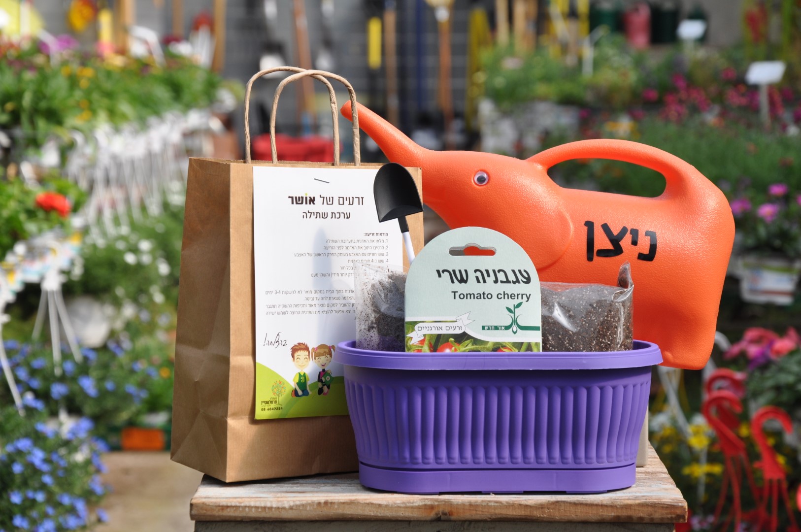 מתנות סוף שנה לגנים | משתלה באשדוד