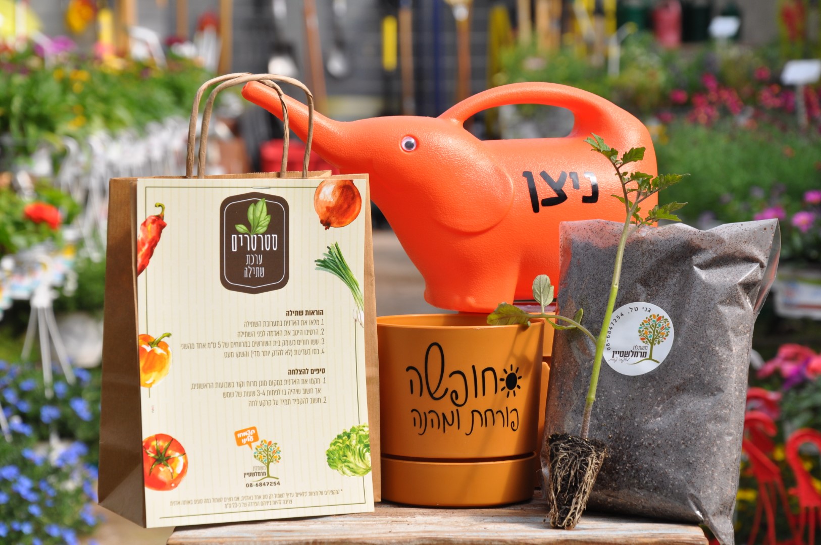 מתנה לסוף שנה | משתלה בגדרה