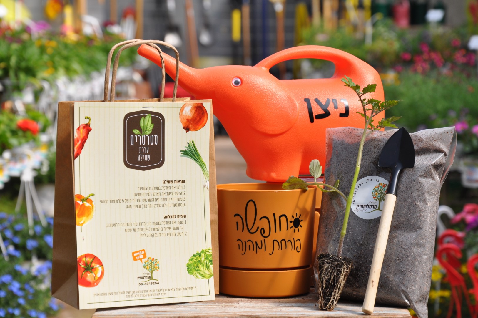 מתנה סופשנה | משתלה ברחובות