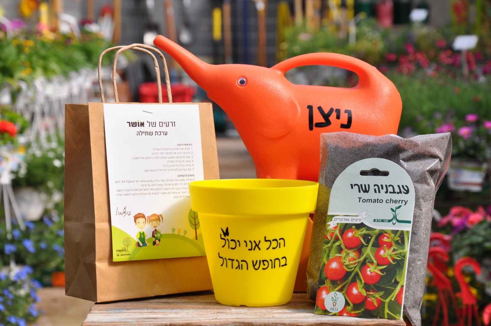 מתנה לסוף שנה לילדים משתלה באשקלון