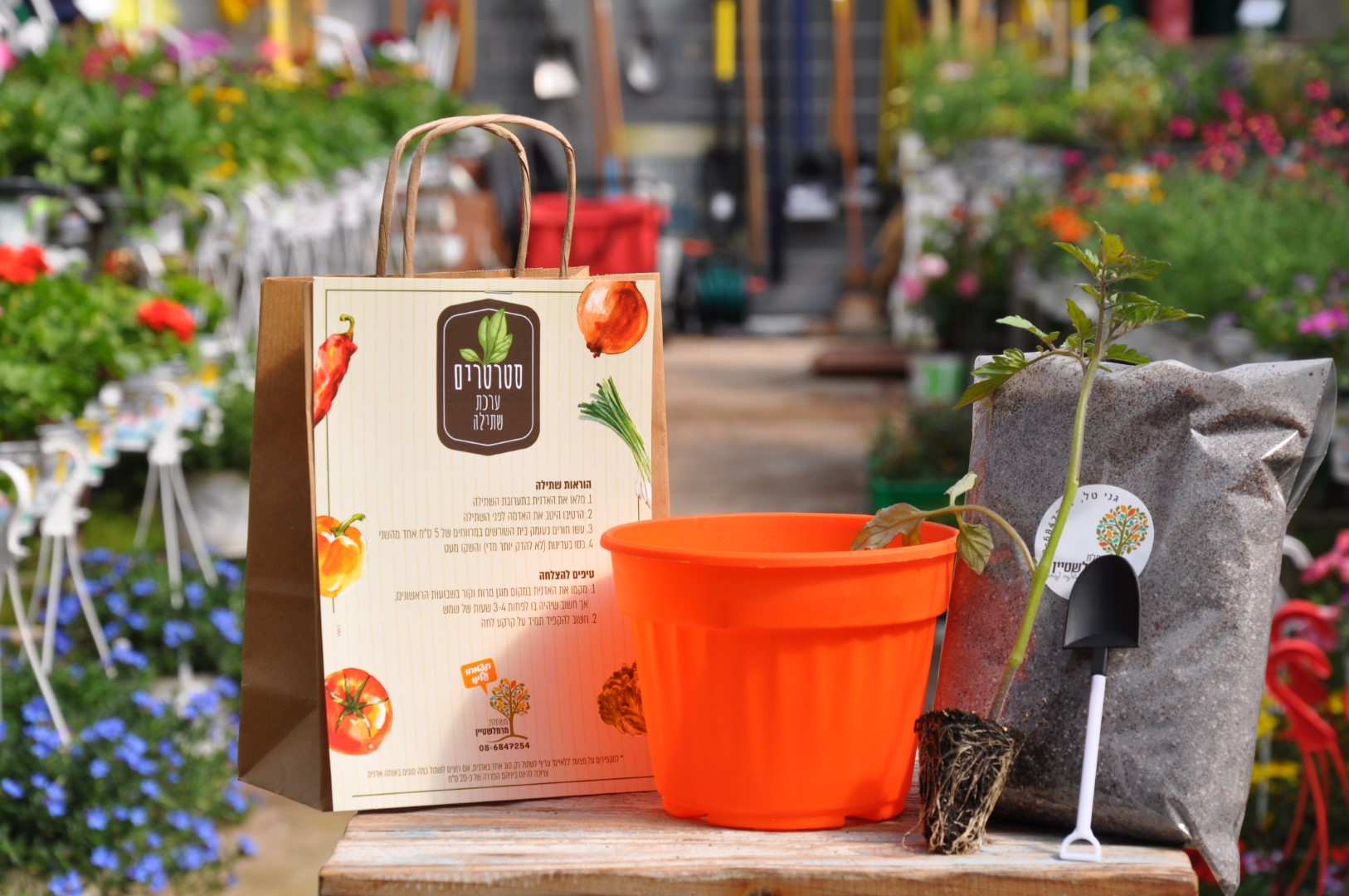 מתנות סוף שנה מגננות | משתלת מרמלשטיין משתלה גדרה