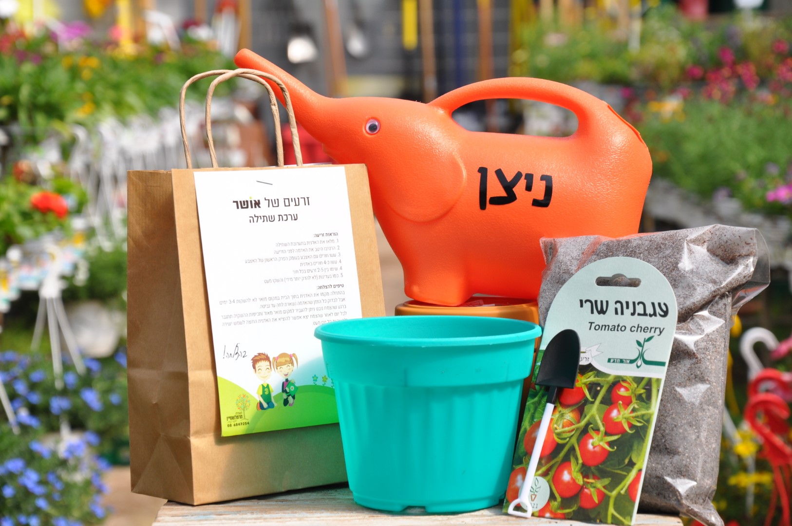 מתנה לסוף שנה משתלת מרמלשטיין