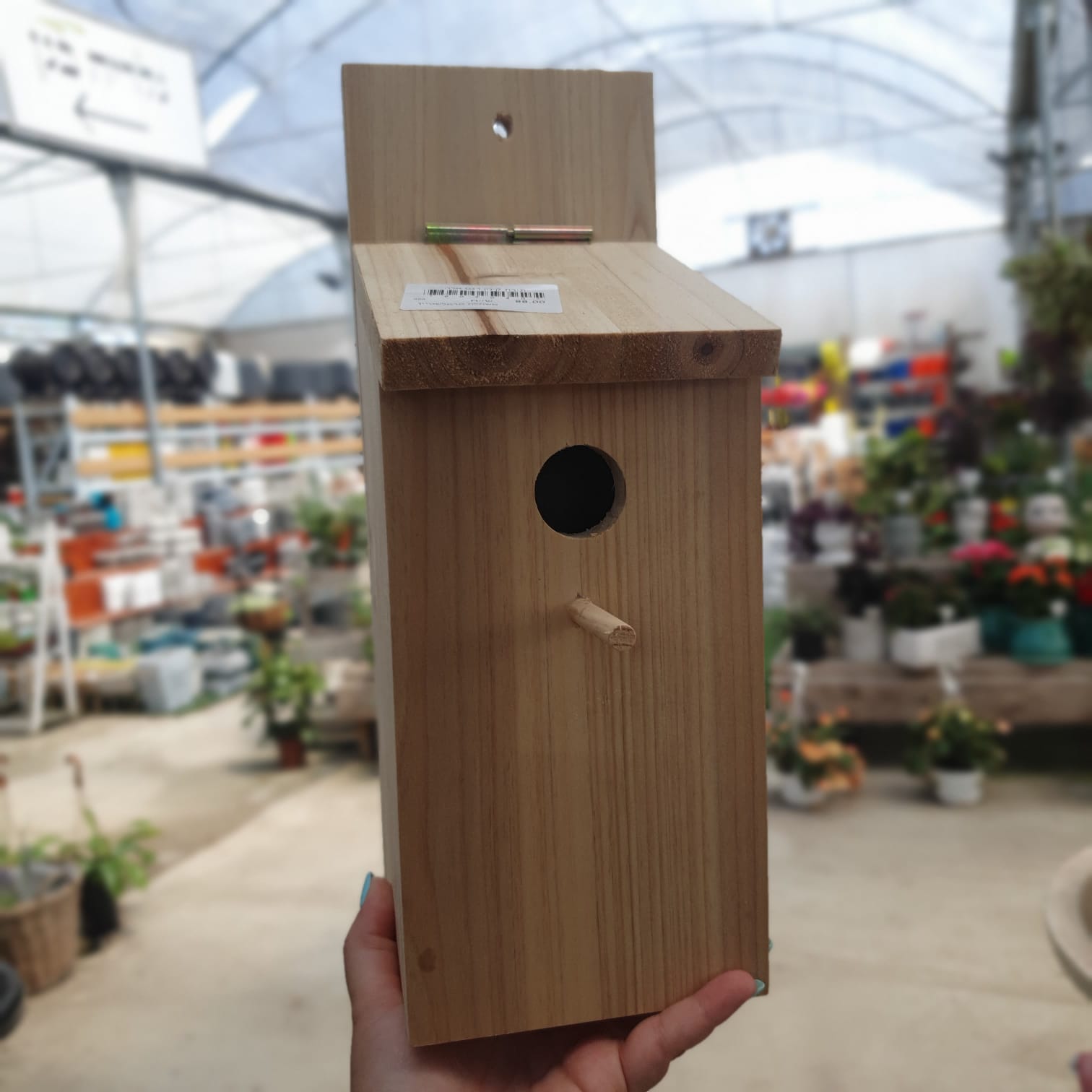 תיבת קינון דגם אלה