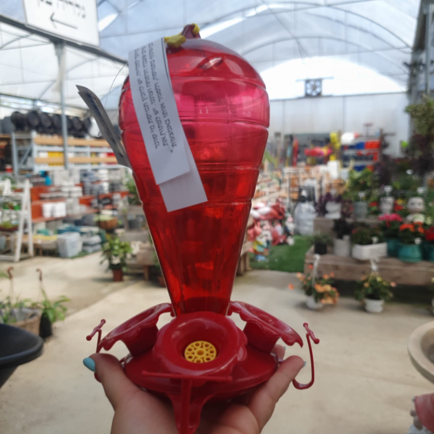 מתקן האכלה לצופית