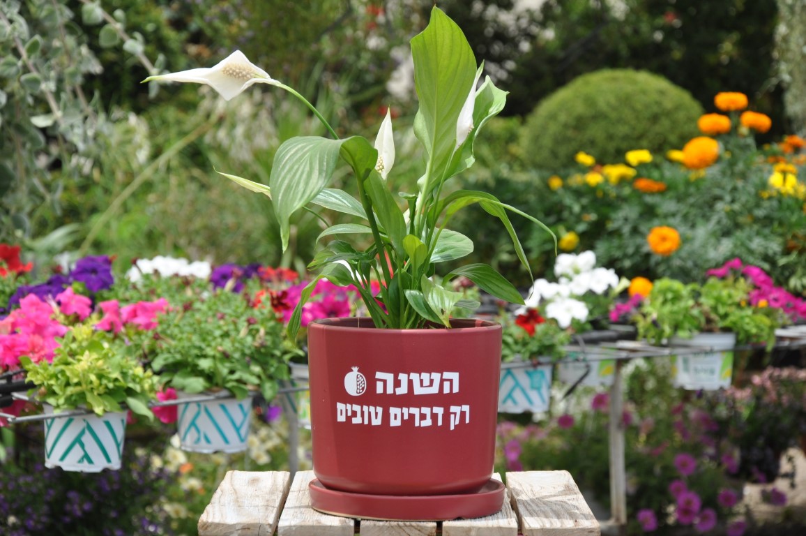 השנה רק דברים טובים | מתנה מקורית לראש השנה | משתלה בראשון לציון