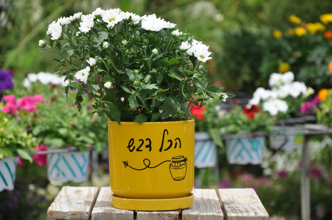 הכל דבש | מתנות לראש השנה משתלה ברחובות הכל דבש | מתנות לראש השנה משתלה ברחובות