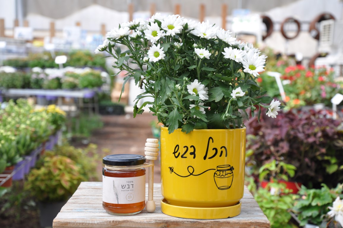 הכל דבש | מארזים לראש השנה | משתלה בגדרה