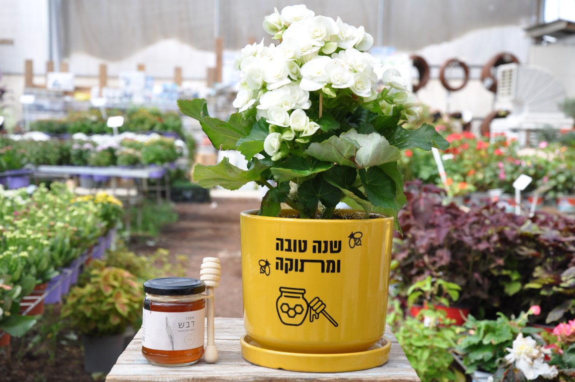 שנה טובה ומתוקה | מתנות לראש השנה