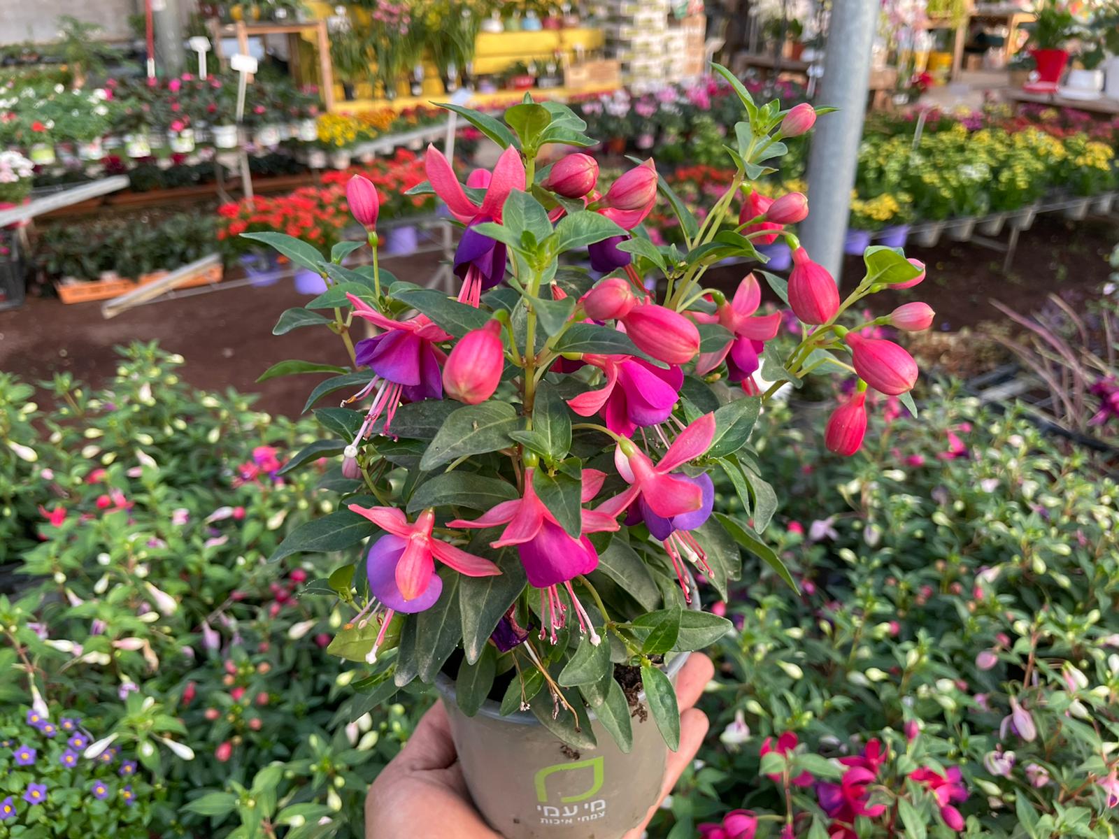 WhatsApp Image 2021-11-10 at 15.19.51