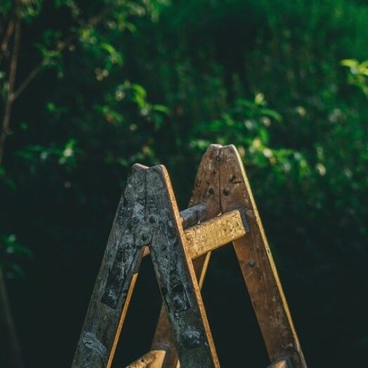 איך לעצב ולשפץ את הגינה מבלי לשבור את הכיס במסגרת שיפוץ כולל?