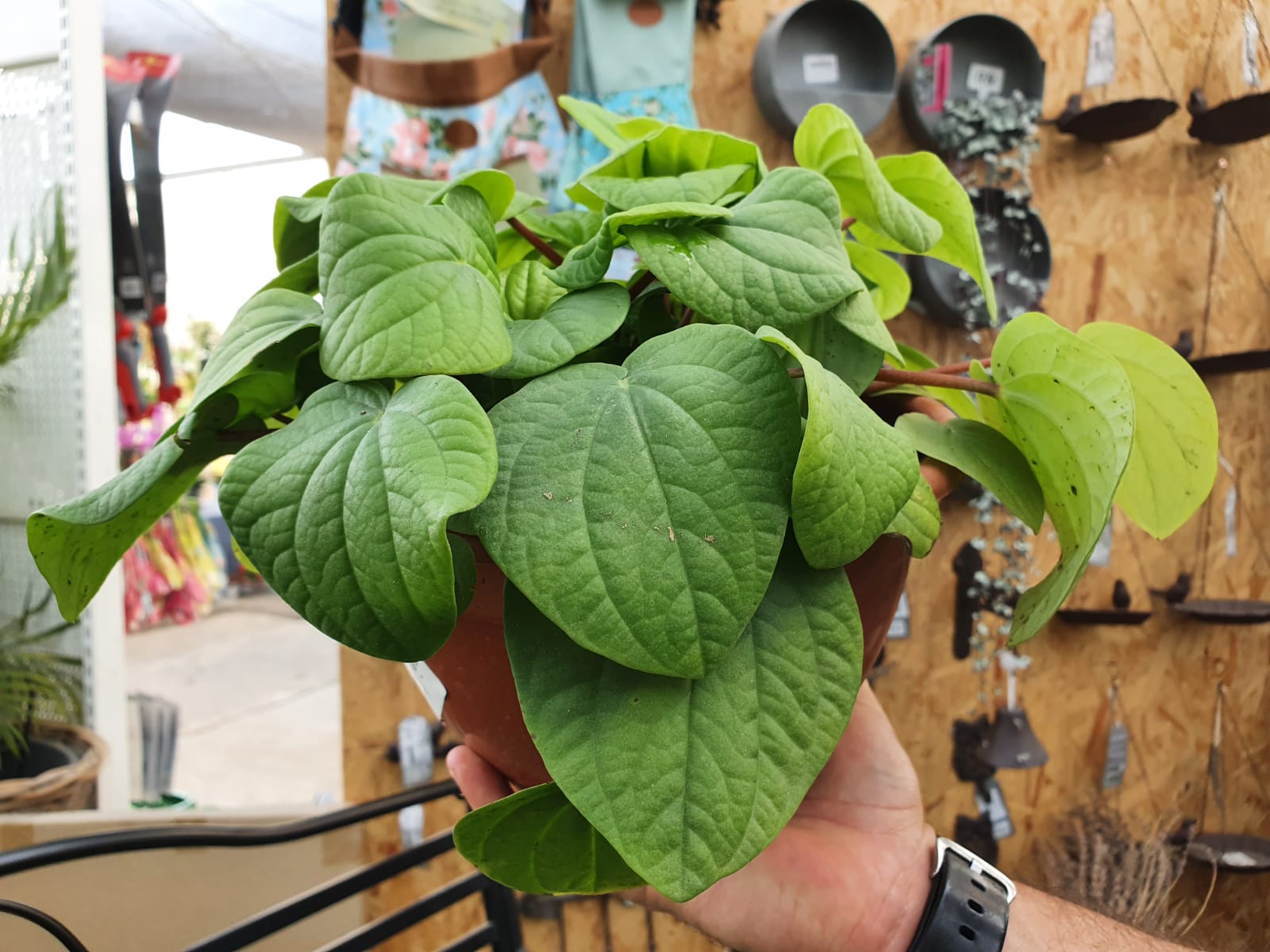 WhatsApp Image 2022-02-22 at 10.04.43 (4)