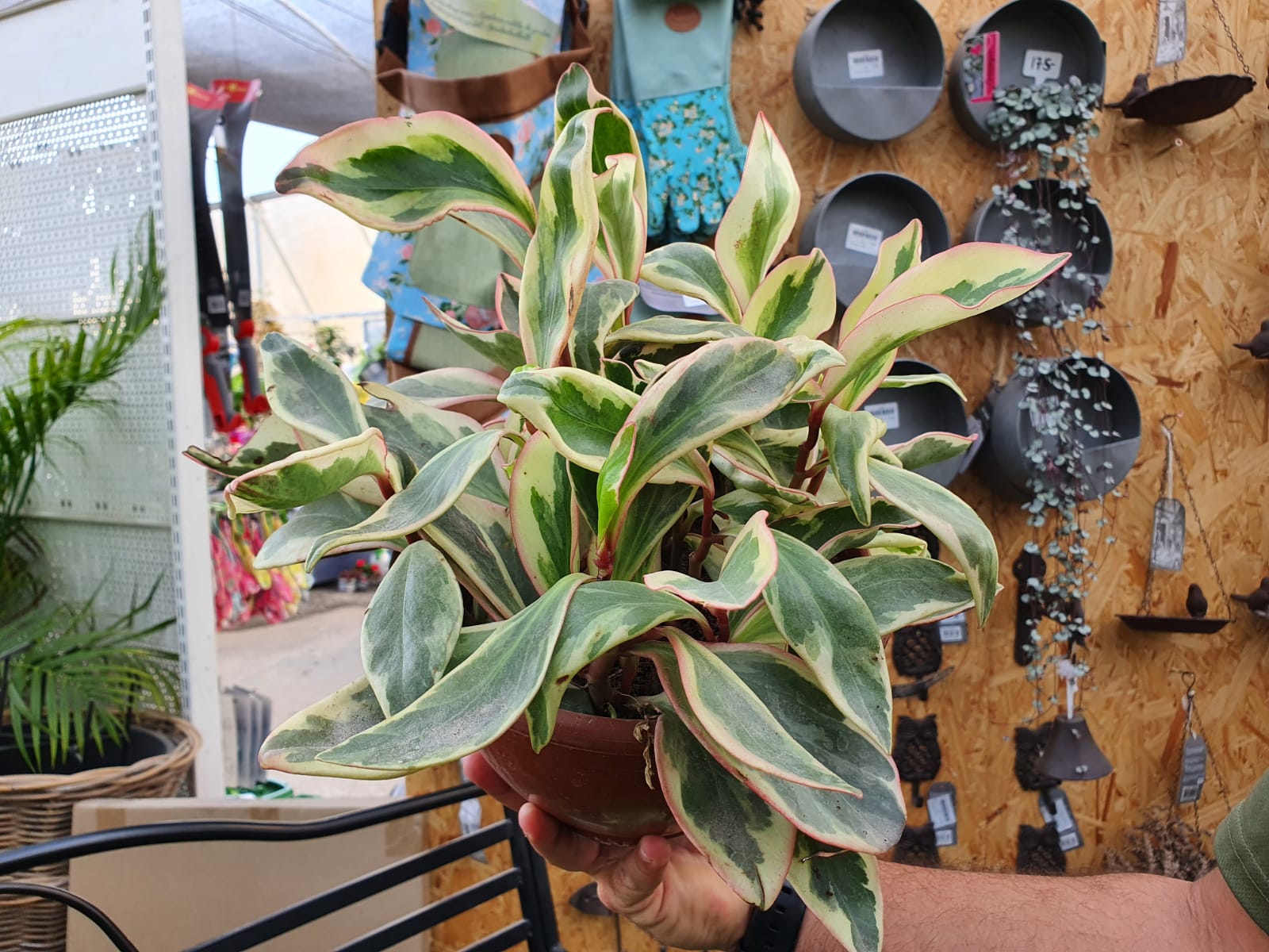 WhatsApp Image 2022-02-22 at 10.04.44