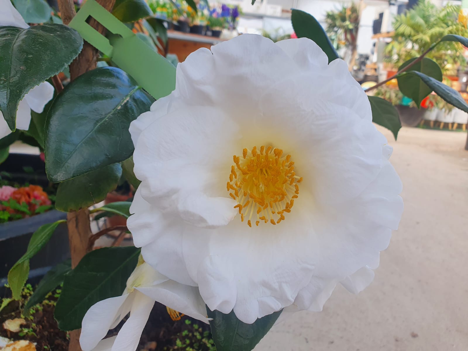 WhatsApp Image 2022-02-27 at 10.13.12 (1)