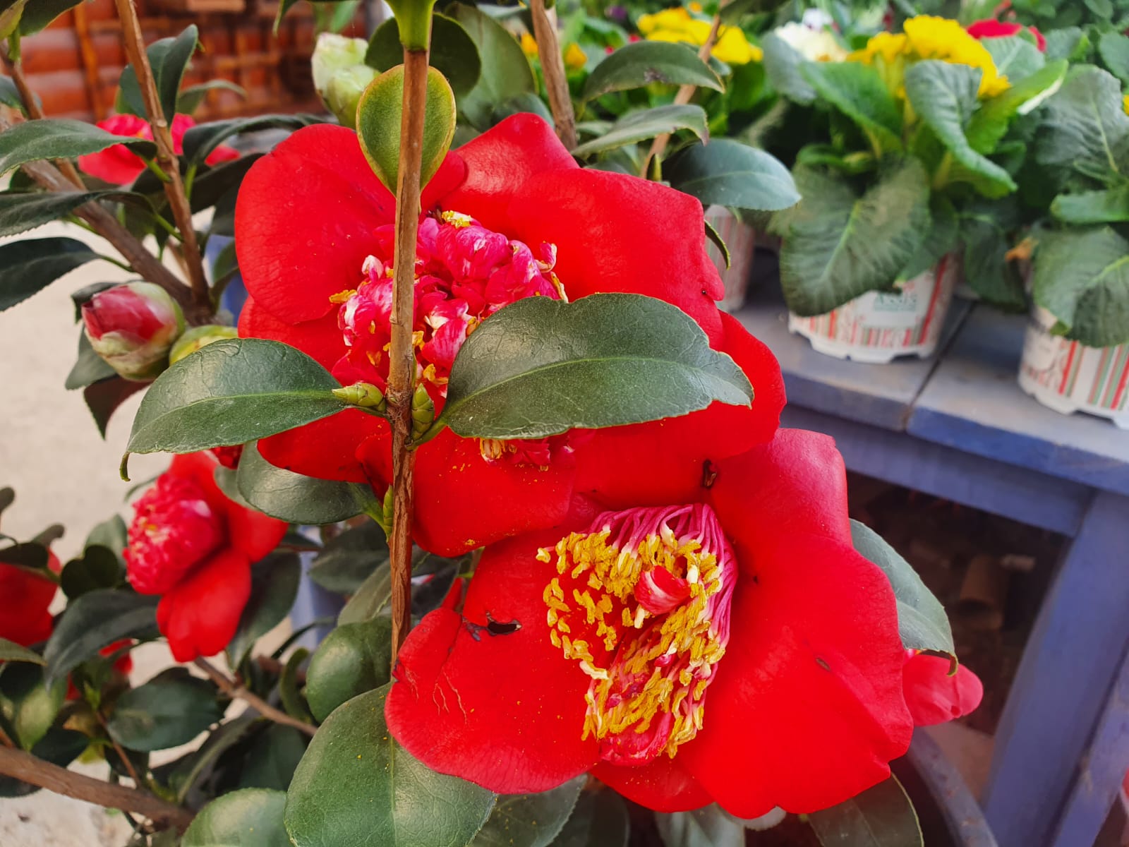 WhatsApp Image 2022-02-27 at 10.13.12 (2)