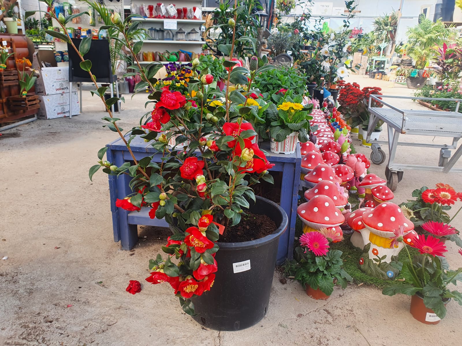 WhatsApp Image 2022-02-27 at 10.13.12 (3)