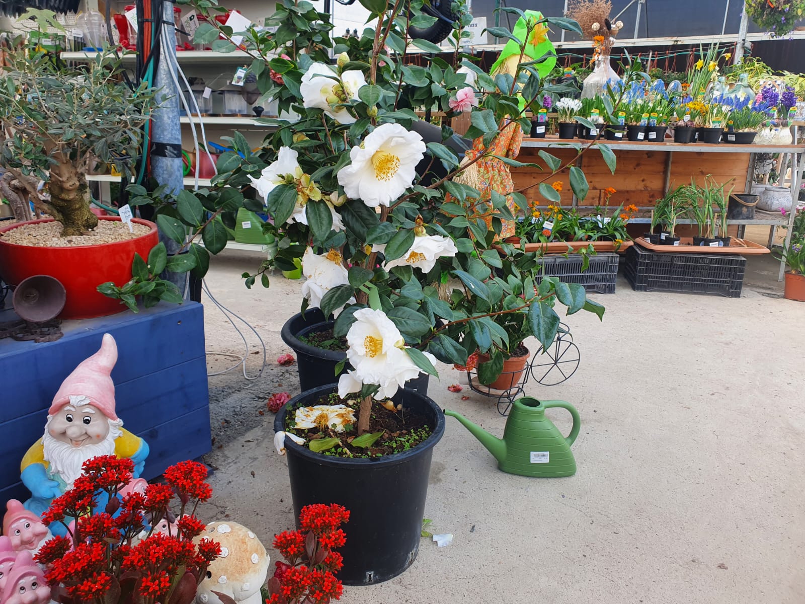 WhatsApp Image 2022-02-27 at 10.13.12