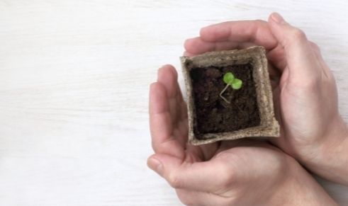 גינה אקולוגית