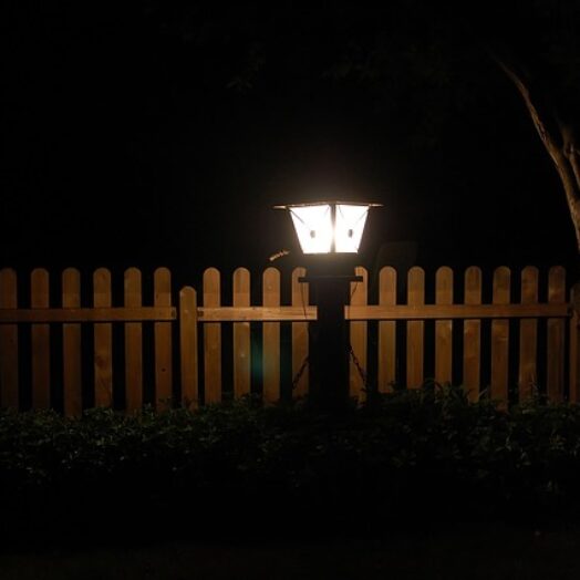 כל מה שצריך לדעת על פרוג’קטור לגינה