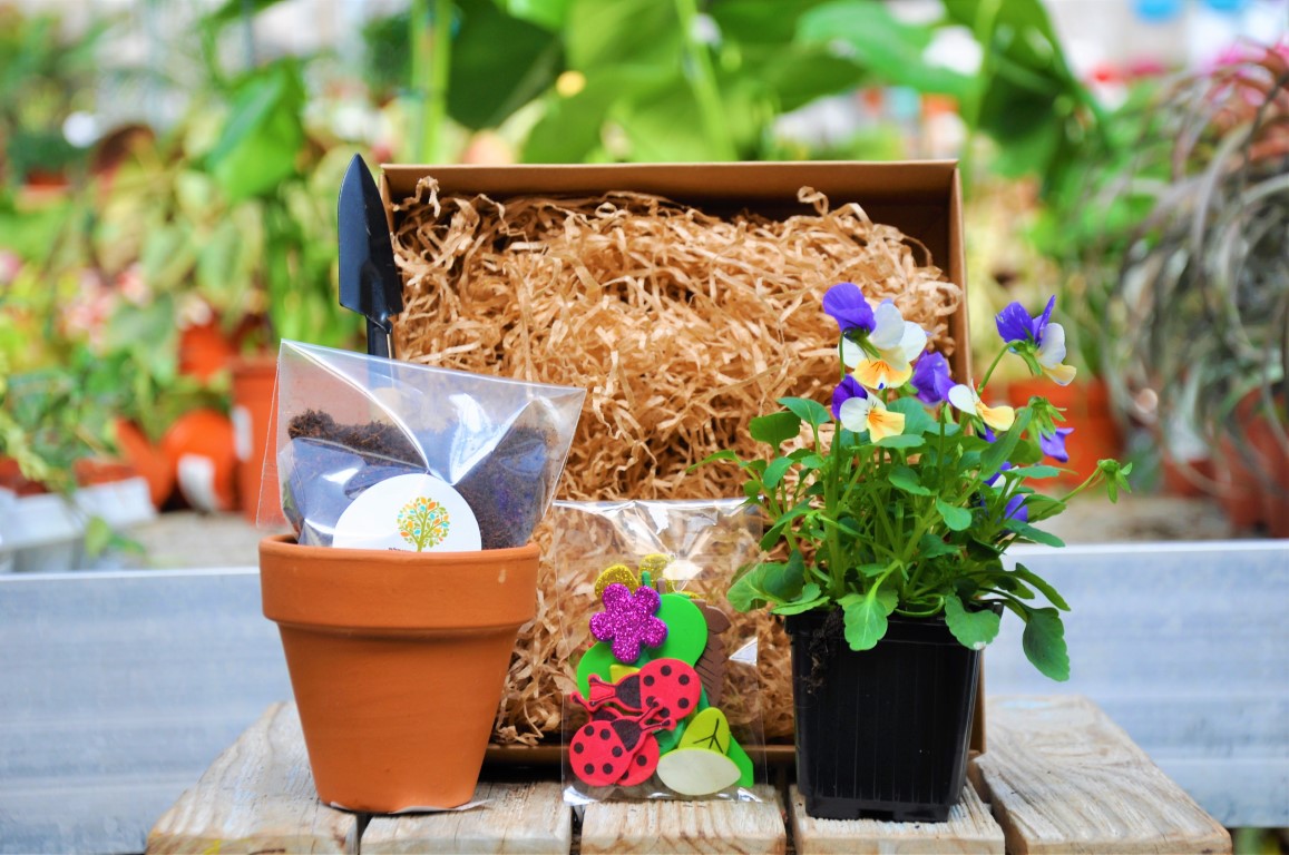 מארזים לטו בשבט