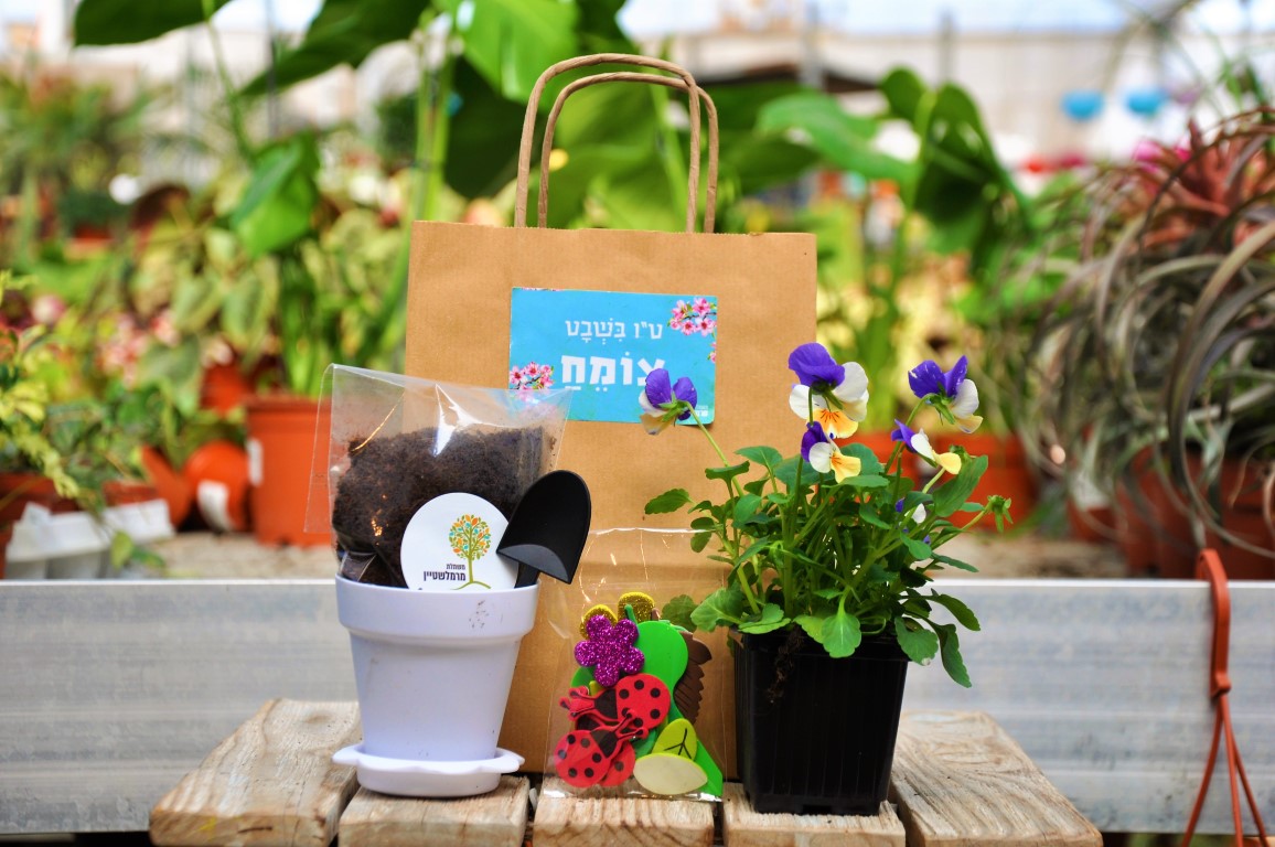 מארזים לטו בשבט