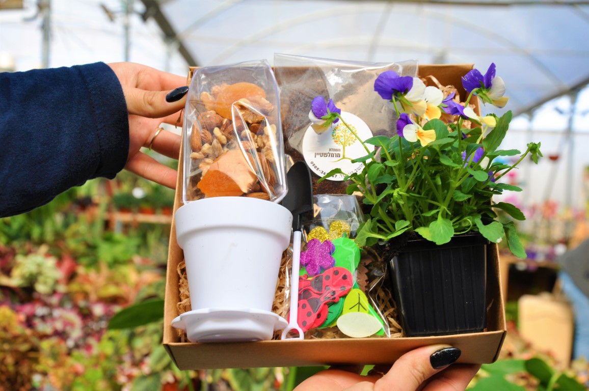 מארזים לטו בשבט