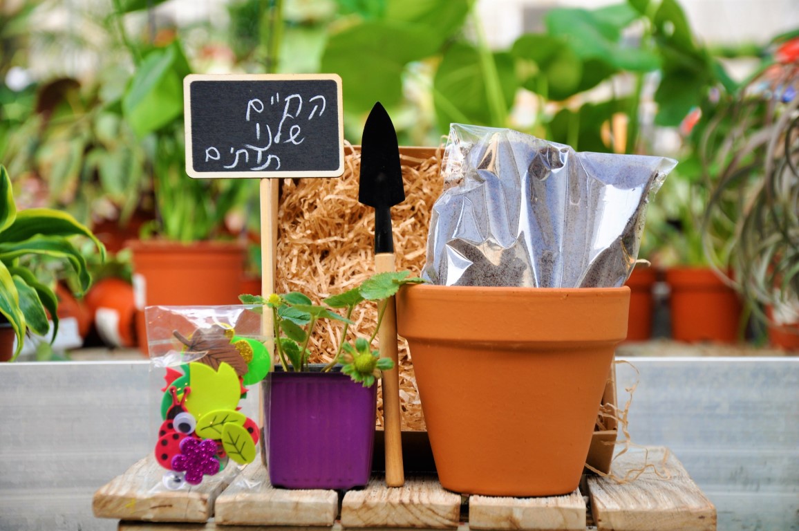 מארזים לטו בשבט